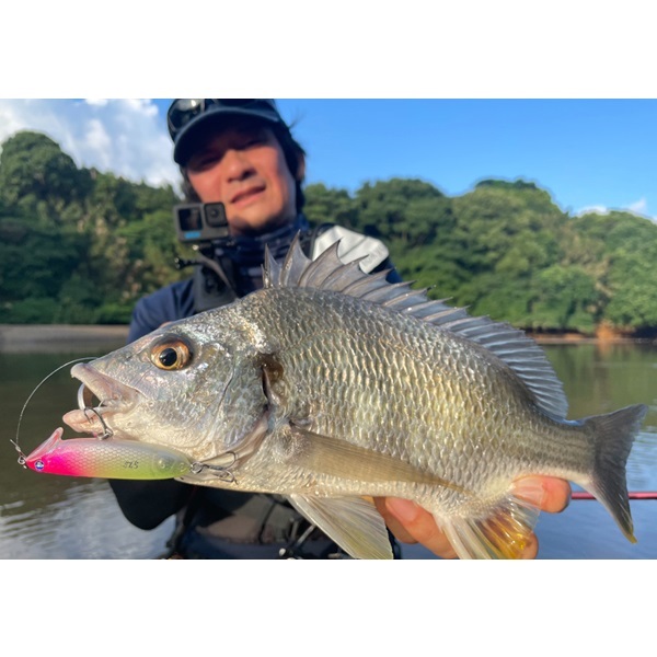 イネムン 60